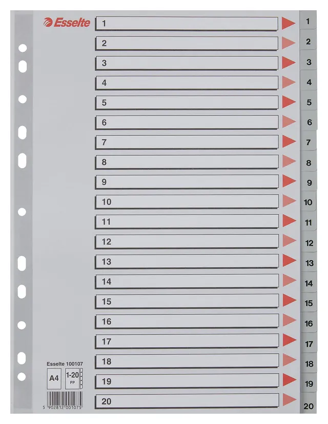 esselte-rubrica-divisori-1-20-a4-grigio-polipropilene-100107 image 1