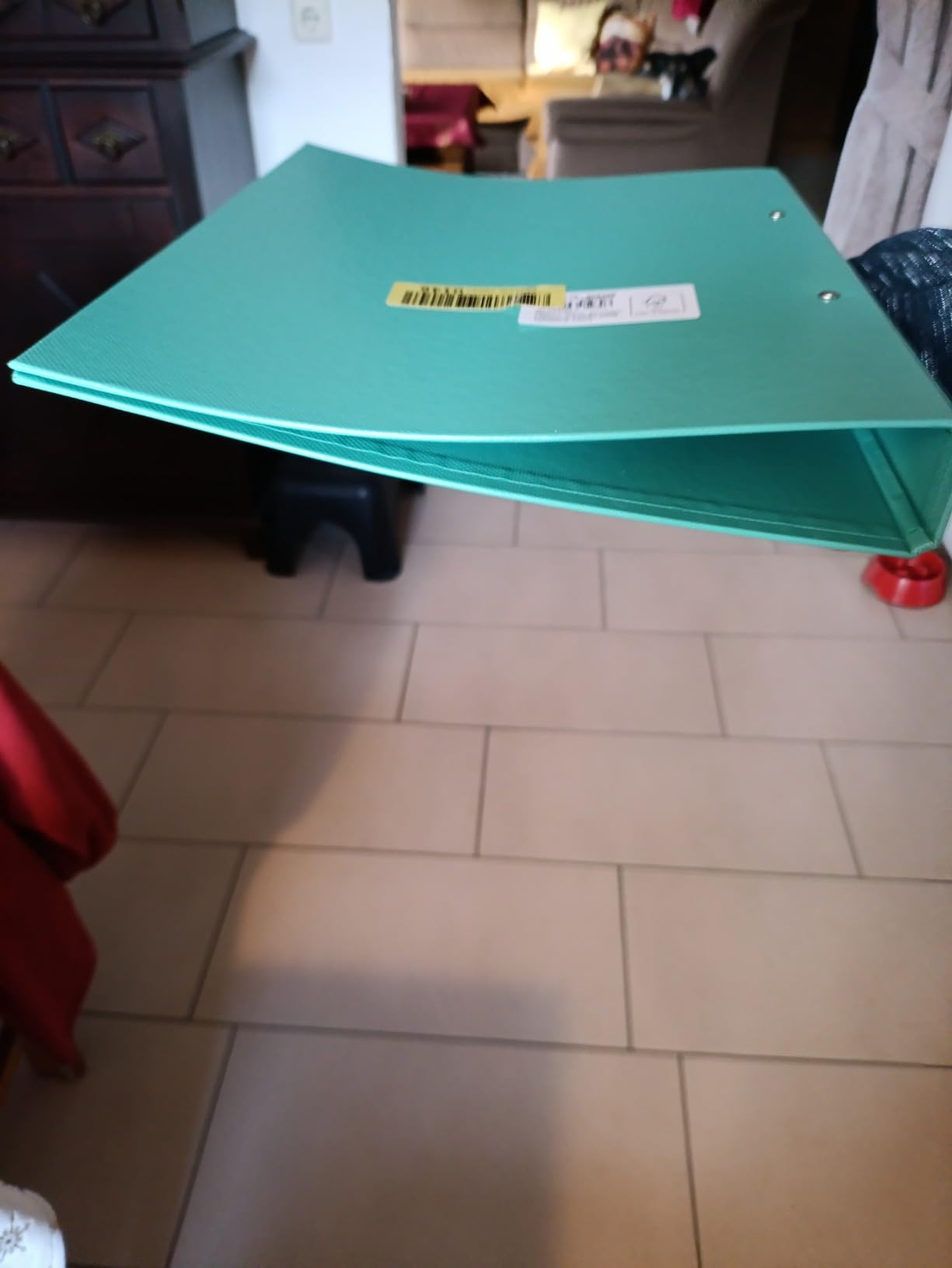 Perfetto per l'universitÃ