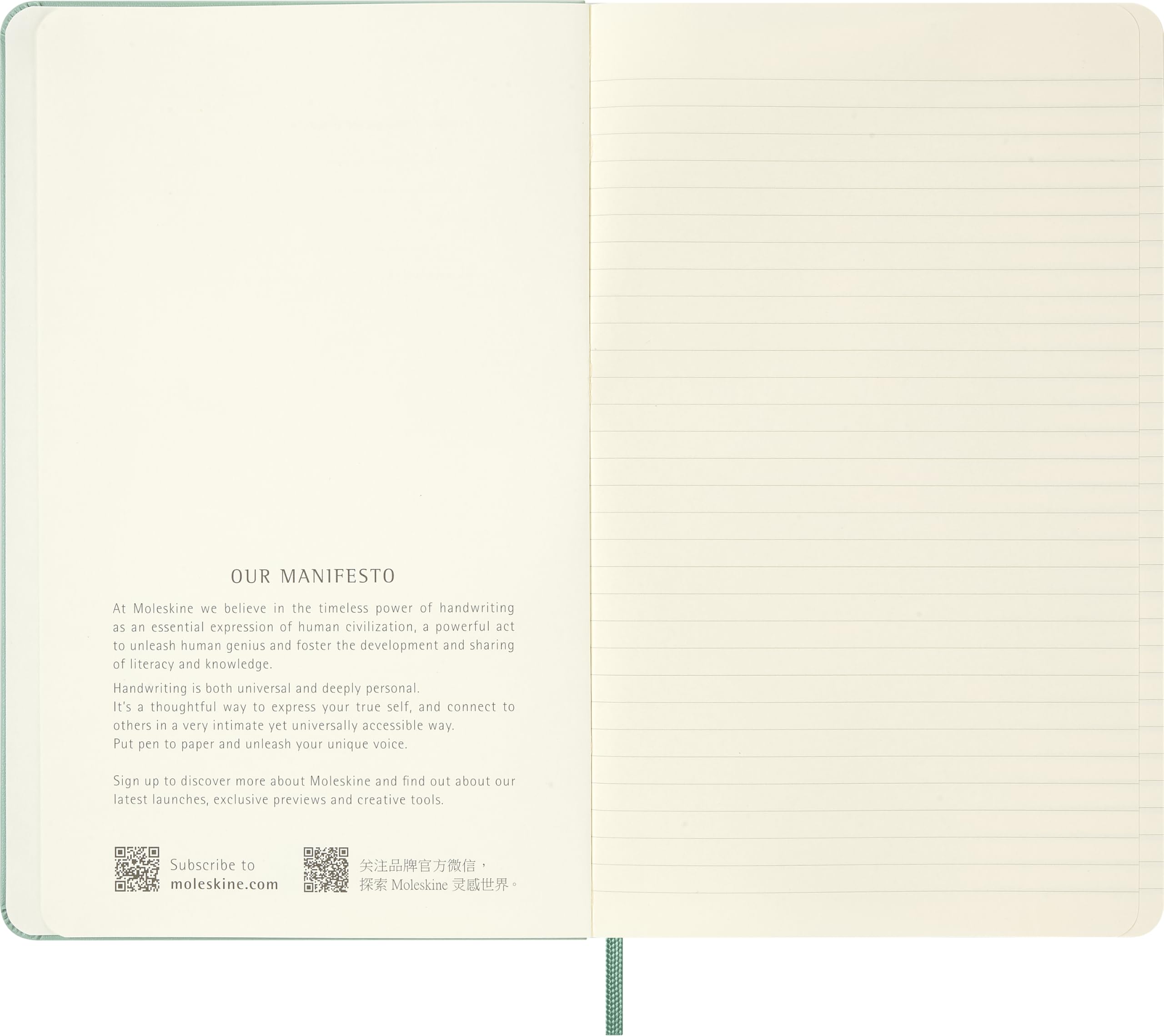 moleskine-classic-notebook-large-13x21-cm-righe-verde-salvia image 4