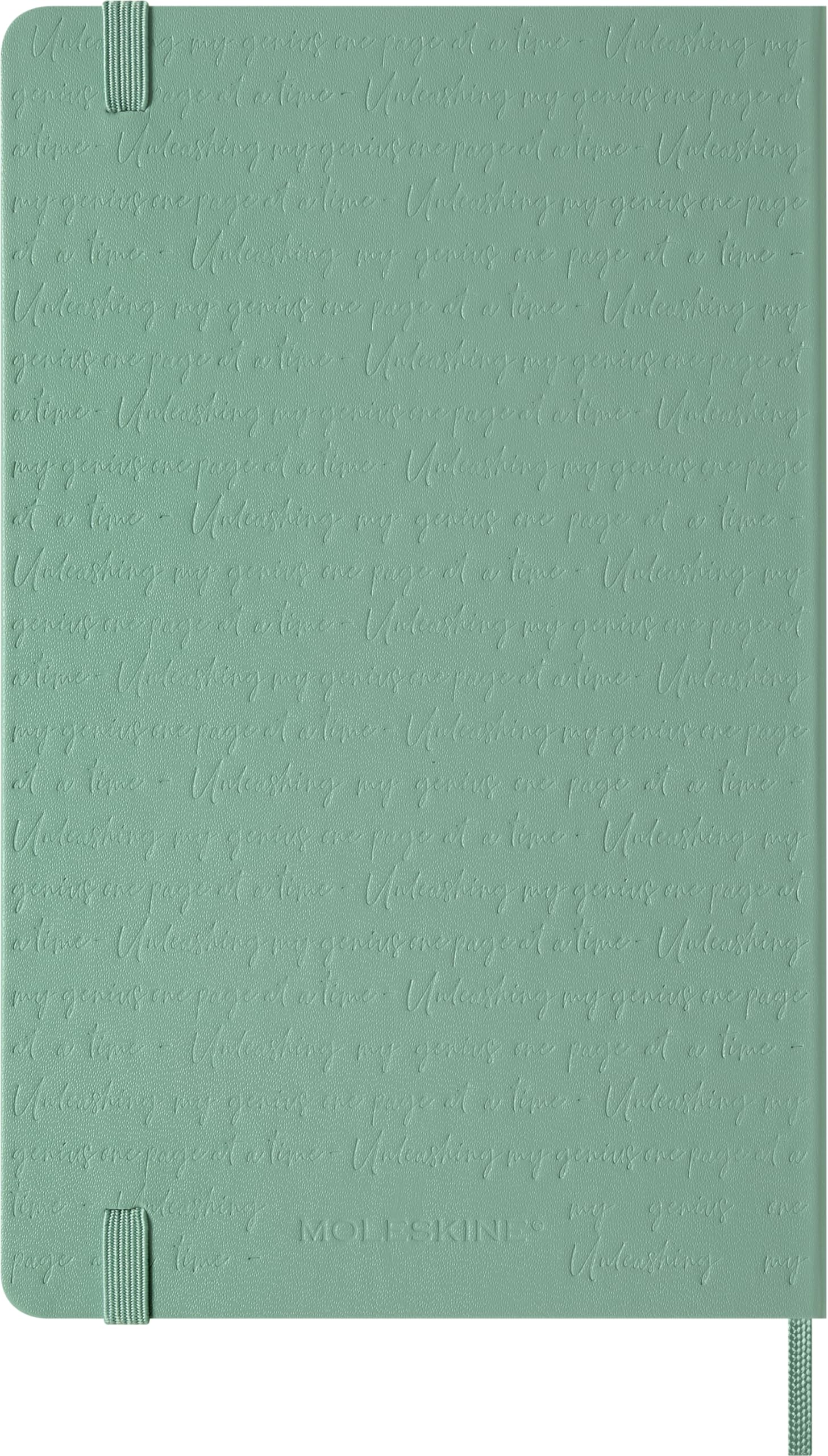 moleskine-classic-notebook-large-13x21-cm-righe-verde-salvia image 2