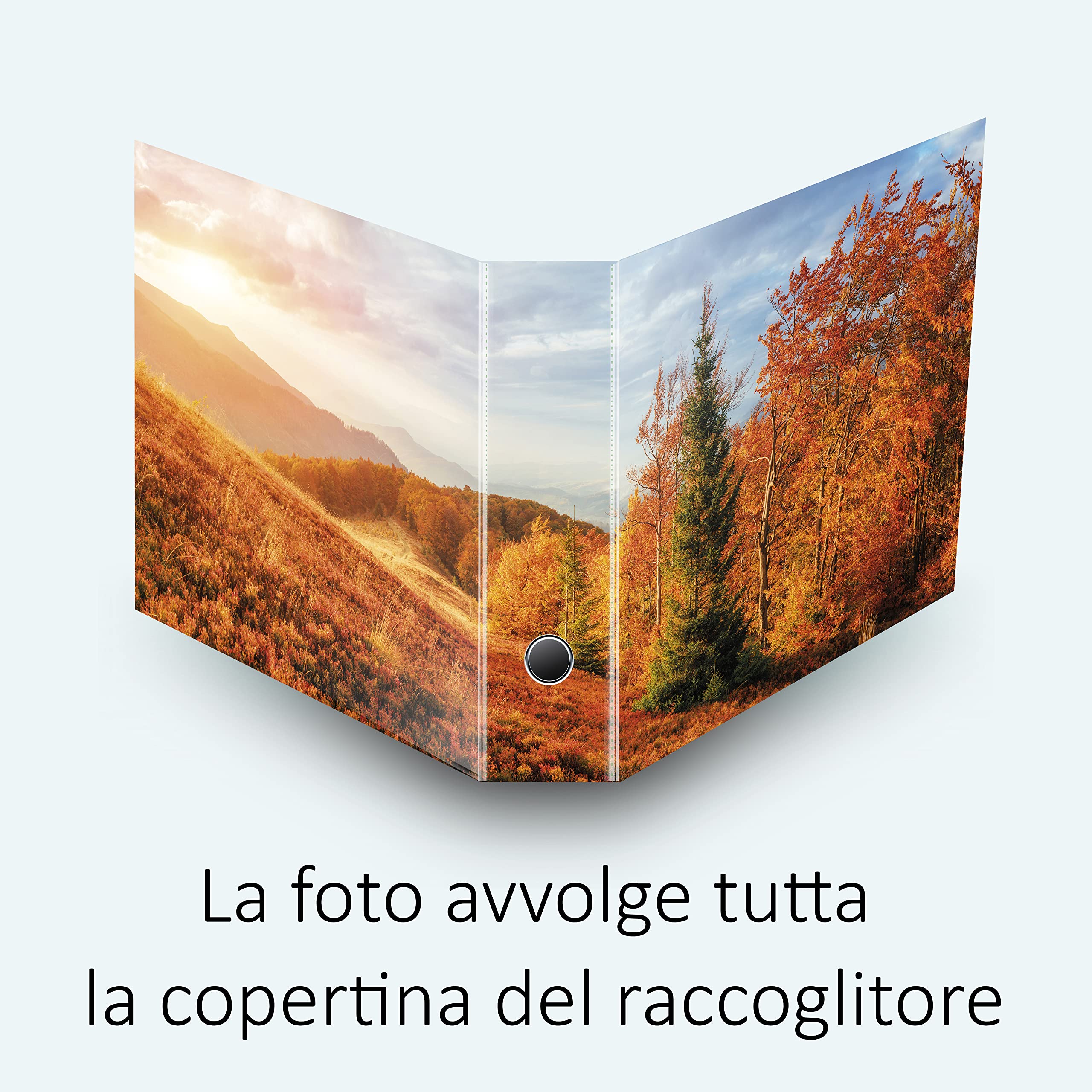 leitz-set-5-raccoglitori-2-4-anelli-a4-dorso-8-cm-autunno-box image 7