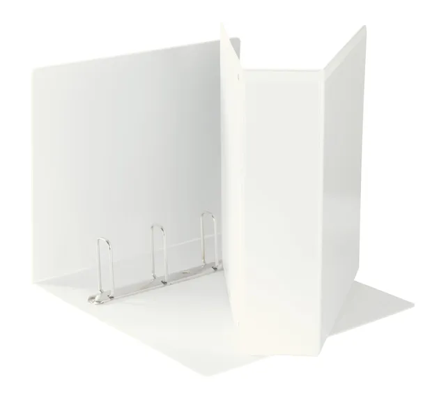 esselte-raccoglitore-a-display-pp-personalizzabile-4-anelli-65-mm-maxi-bianco-a4 image 1