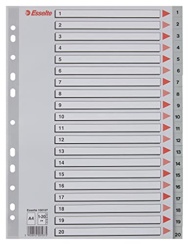 esselte-rubrica-divisori-1-20-a4-grigio-polipropilene-100107 image 8