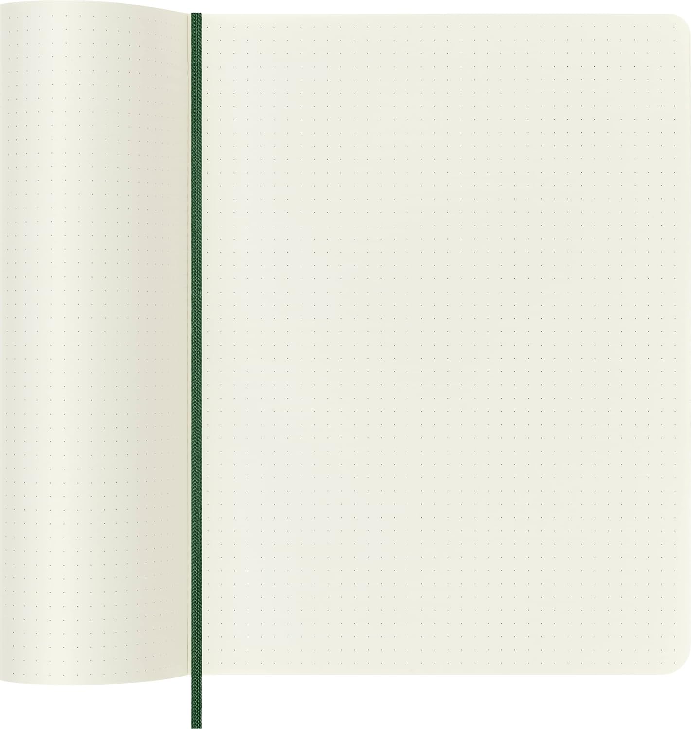 moleskine-classic-notebook-taccuino-puntinato-xl-19x25-cm-verde-mirto-192-pagine image 5