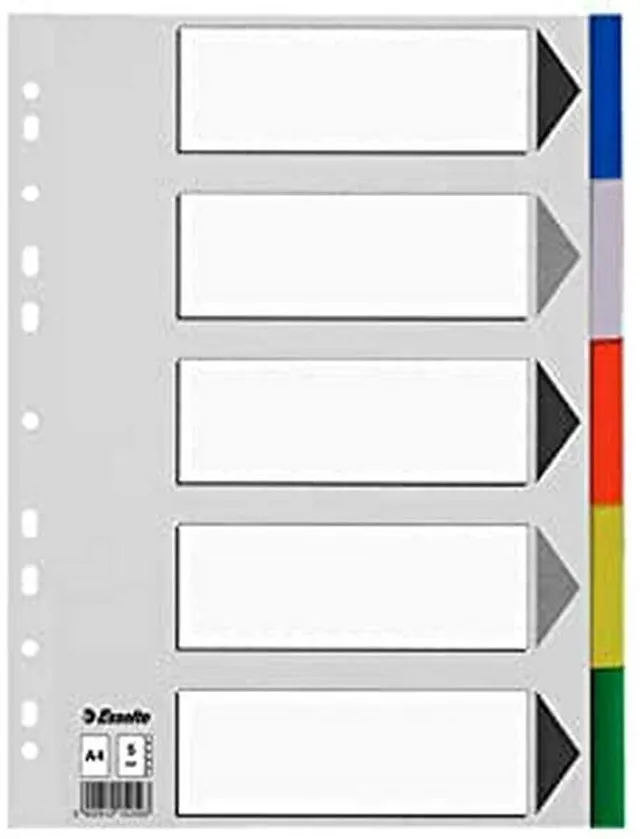 esselte-divisori-in-plastica-a4-5-posizioni-colorati image 1