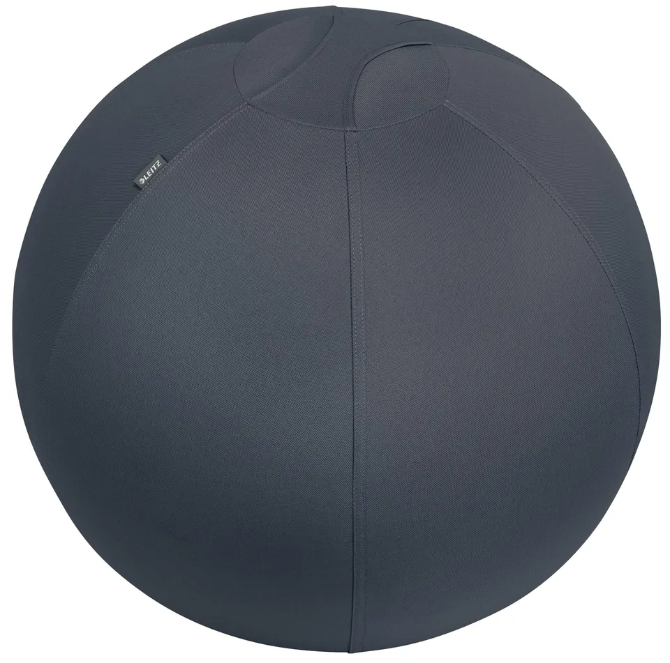 leitz-ergo-cosy-active-palla-da-seduta-ergonomica-65-cm-grigio-velluto-con-pompa image 1