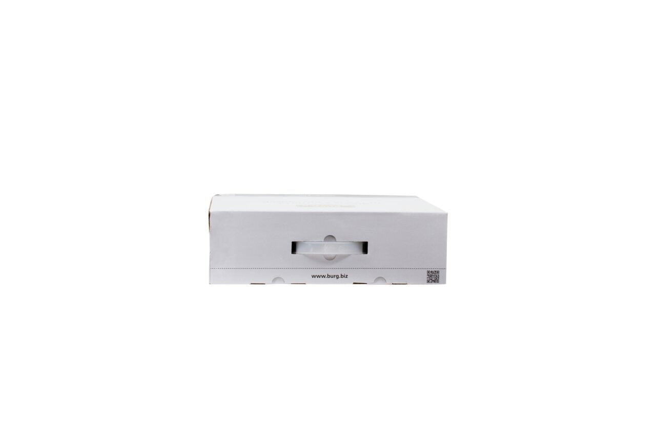 burg-w-chter-bwnvr-3841i-videoregistratore-ip-8-canali-ai-12mp-poe image 8