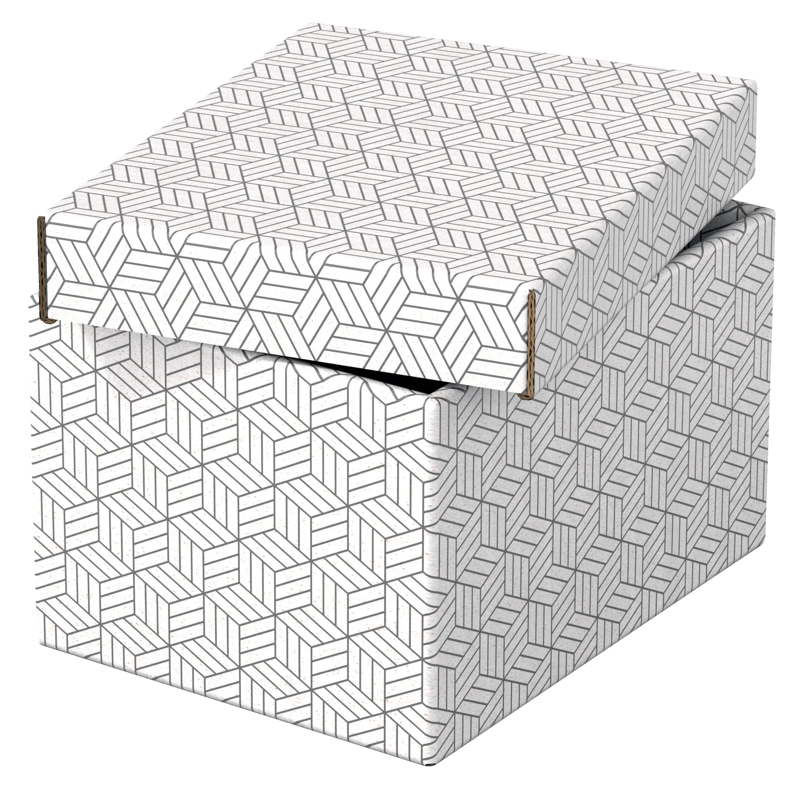 esselte-home-set-3-contenitori-medi-con-coperchio-265x205x365-mm-bianco image 8