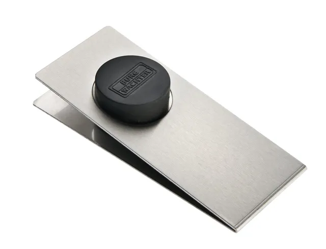 burg-w-chter-tkl-2155-ni-fermaporta-in-acciaio-inox image 1
