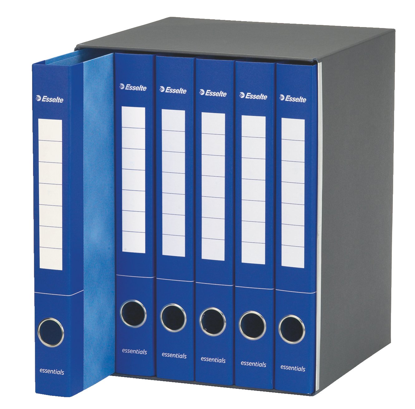 esselte-essentials-set-6-raccoglitori-2-anelli-a4-dorso-40-mm-assortiti image 5