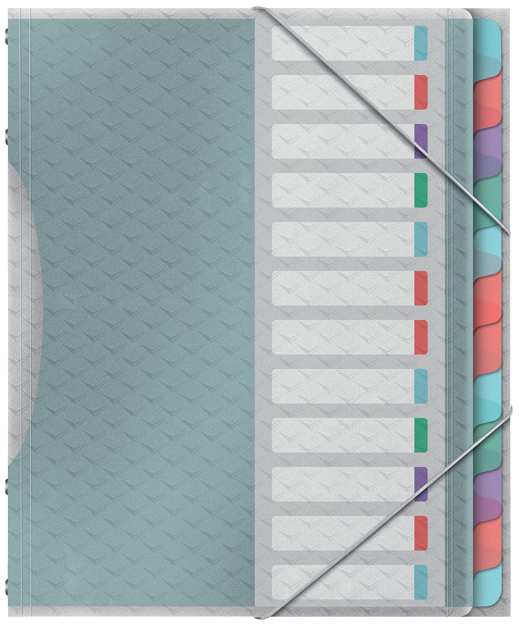esselte-colour-breeze-quaderno-a4-12-divisori-multicolore-266x320x20-mm image 1
