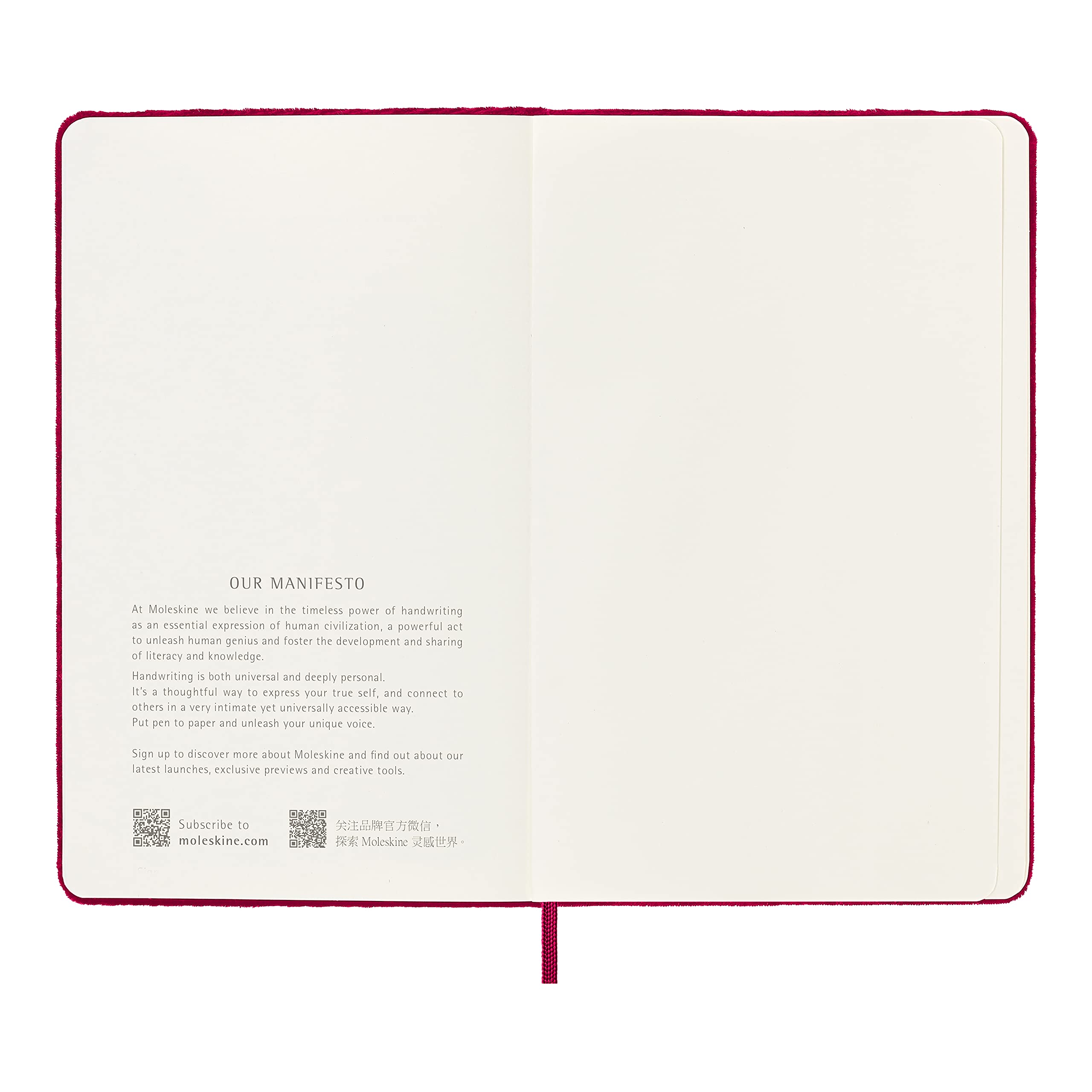 moleskine-velvet-limited-edition-taccuino-copertina-rigida-large-righe-rosa-cycl image 7