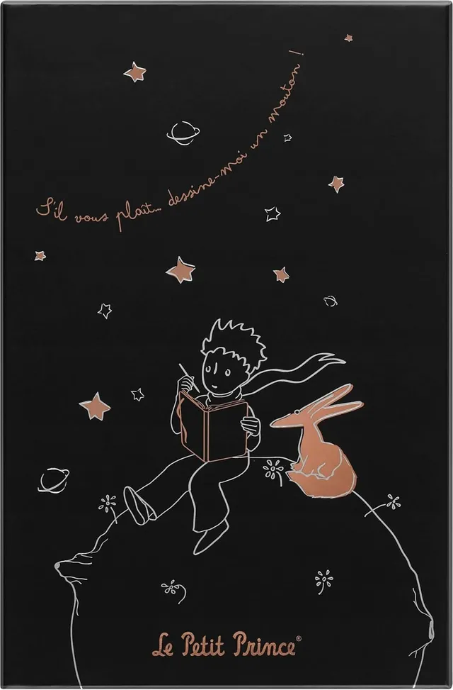 moleskine-le-petit-prince-taccuino-righe-large-13x21-cm-nero image 1