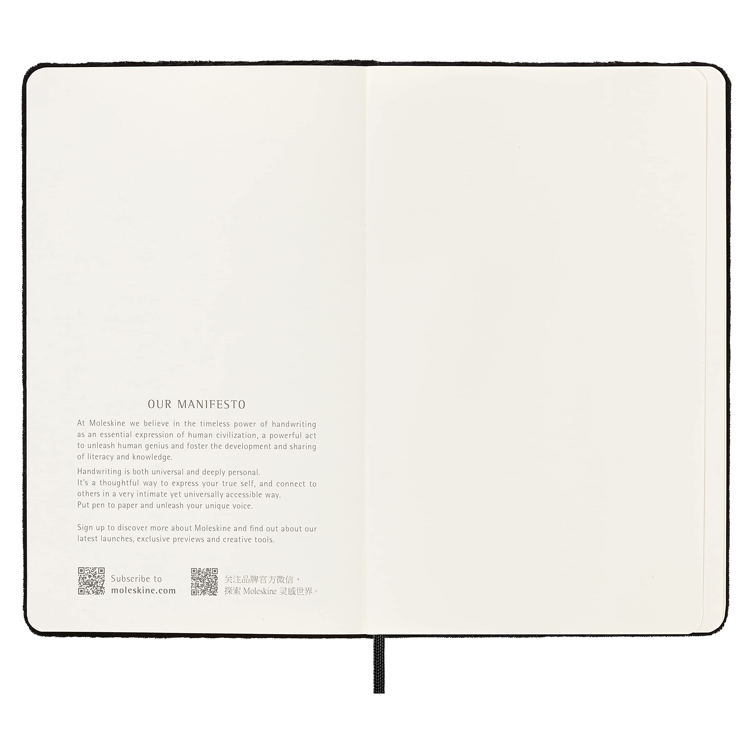 moleskine-velvet-taccuino-copertina-rigida-large-righe-nero-144-pagine image 7
