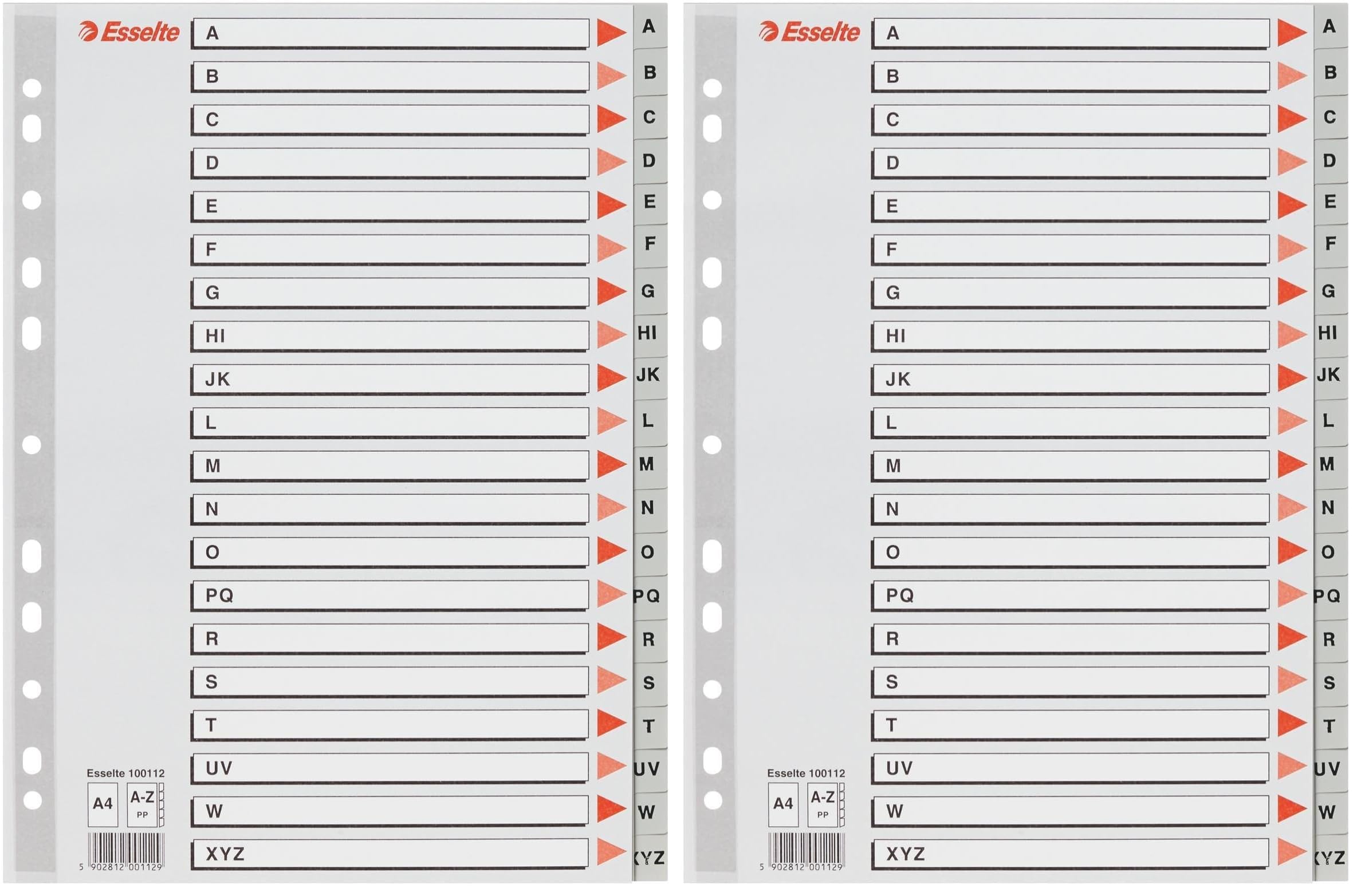 esselte-rubrica-alfabetica-a-z-a4-grigia-divisori-pp-11-fori image 4