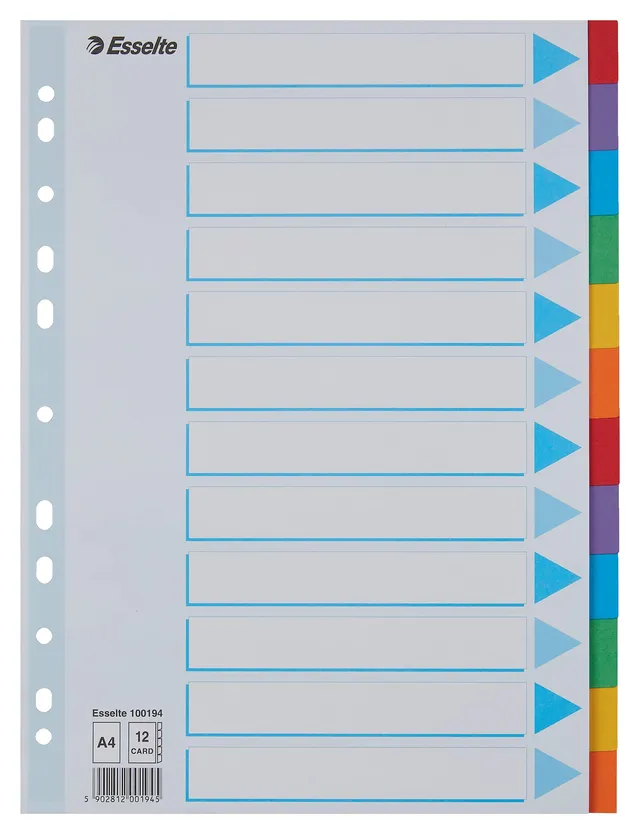 esselte-100194-divisori-per-raccoglitori-a4-12-tasti-cartoncino-riciclato-multic image 1