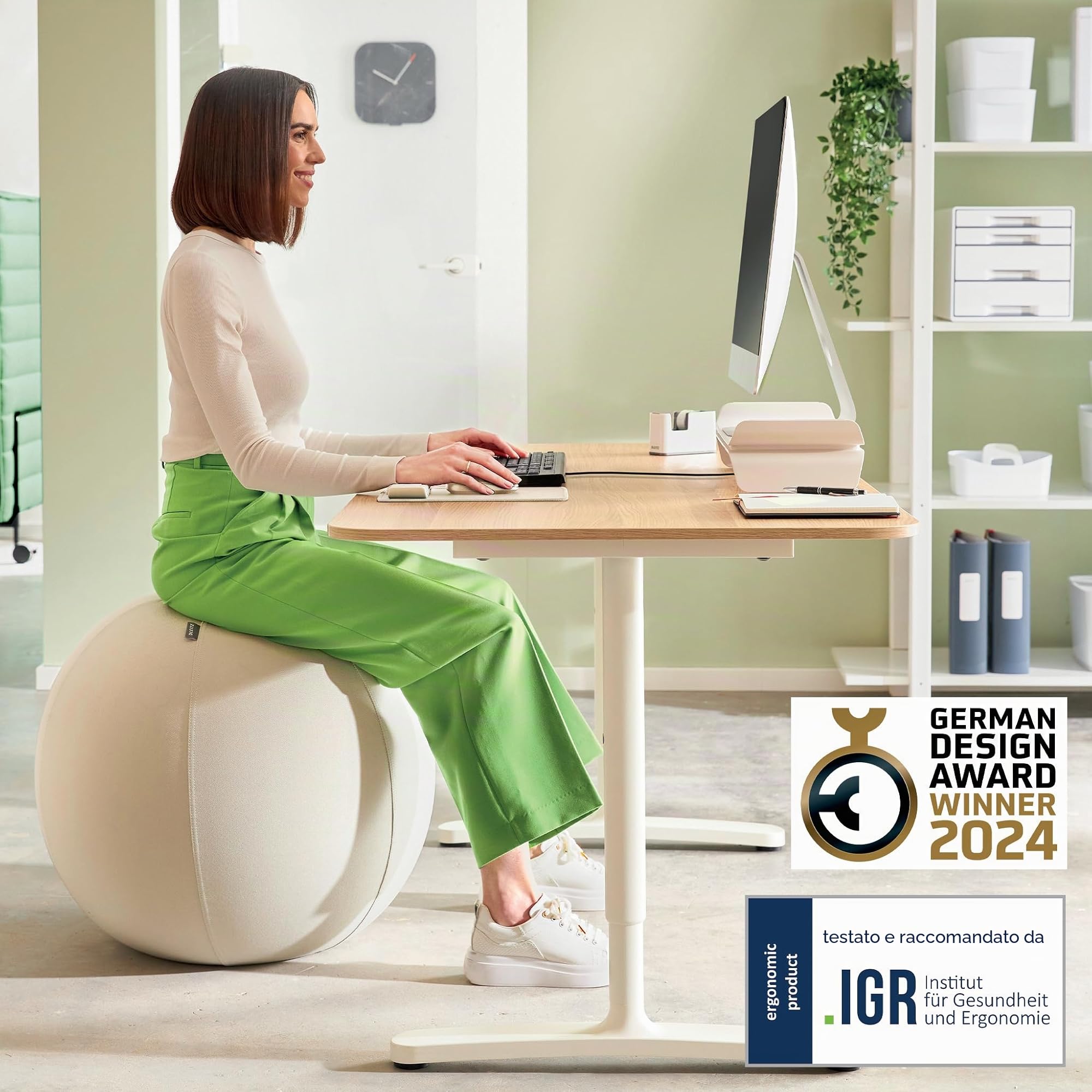 leitz-ergo-active-sitzball-75-cm-grigio-chiaro-con-copertura image 2