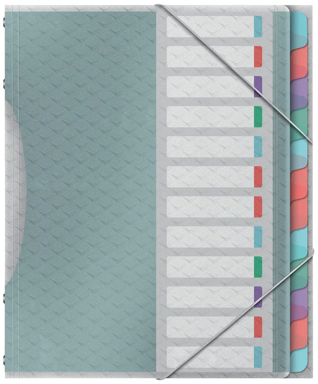 esselte-colour-breeze-quaderno-a4-12-divisori-multicolore-266x320x20-mm image 1