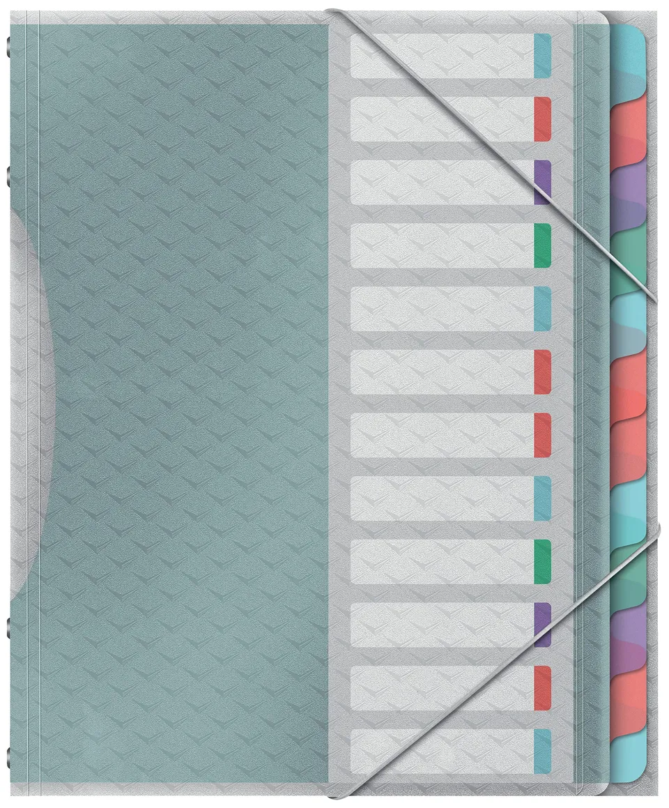esselte-colour-breeze-quaderno-a4-12-divisori-multicolore-266x320x20-mm image 1