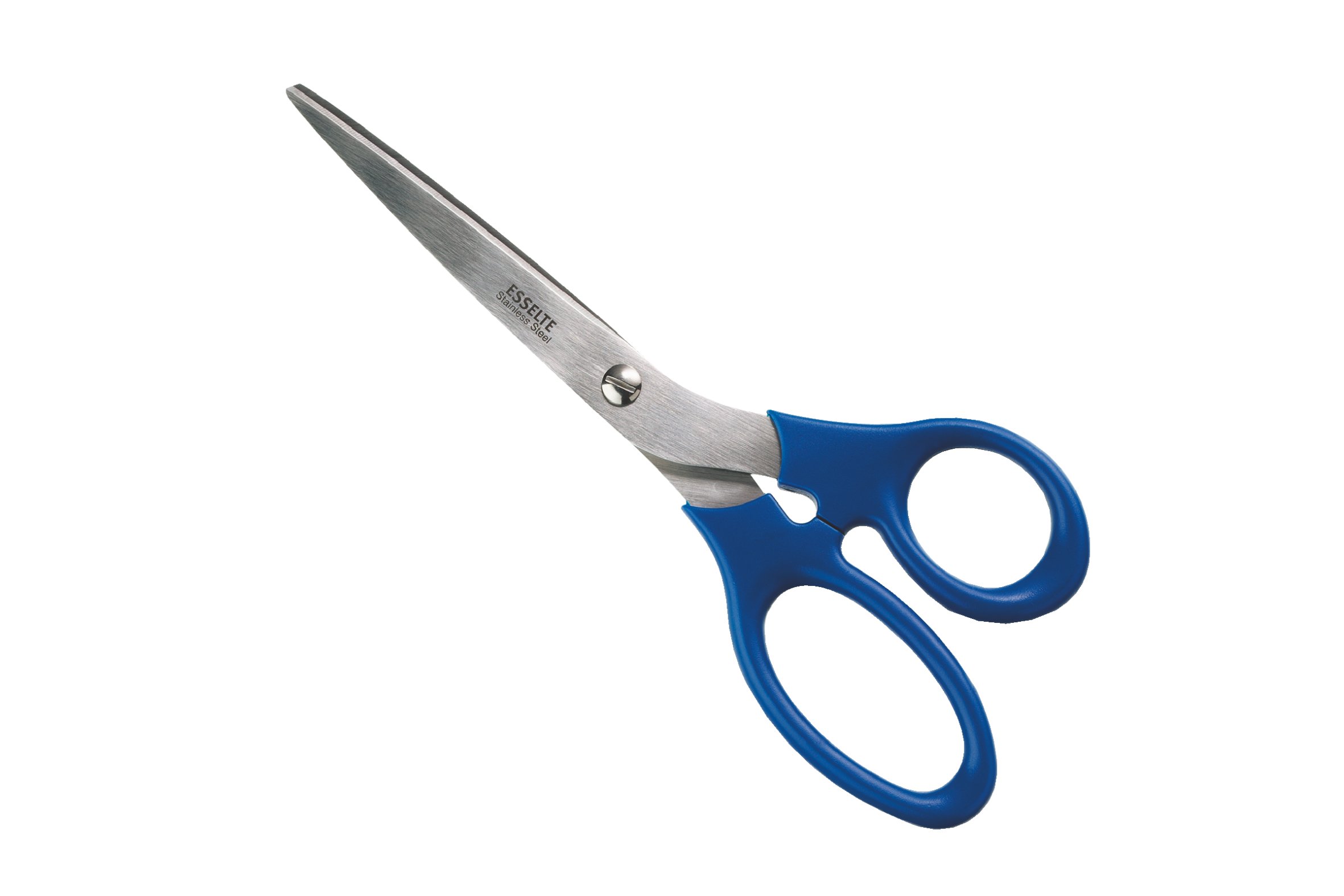 esselte-forbici-da-ufficio-in-acciaio-inox-24-cm-blu-82123 image 2