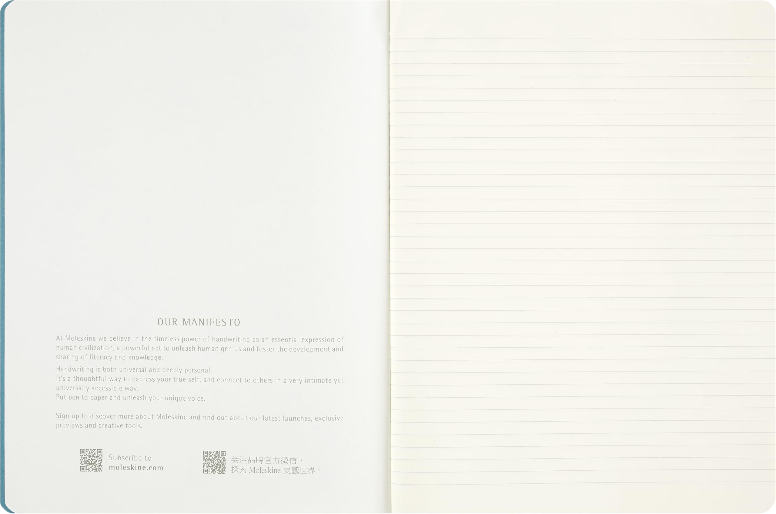 moleskine-peanuts-cahier-journal-a-righe-xl-19-x-25-cm image 4