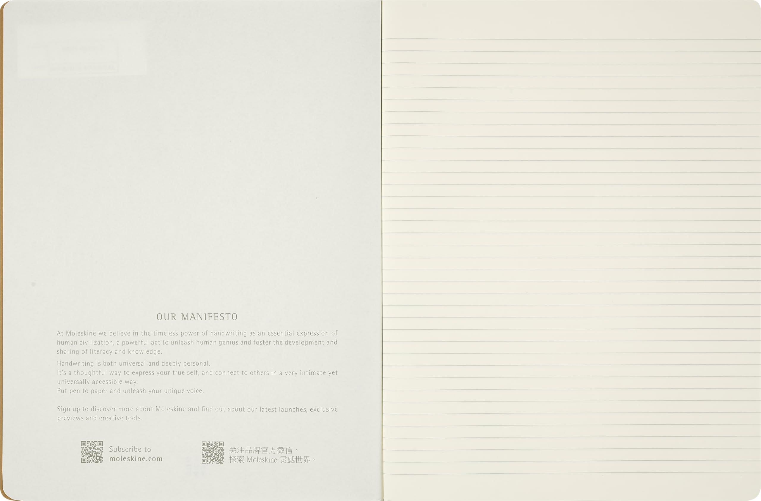 moleskine-cahier-journal-alice-nel-paese-delle-meraviglie-xl-set-3-righe image 4