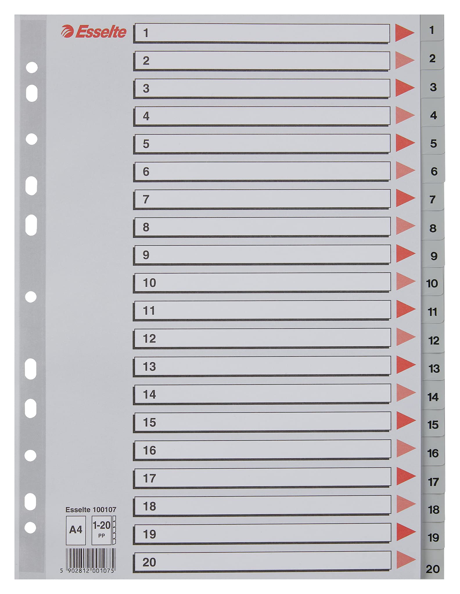 esselte-rubrica-divisori-1-20-a4-grigio-polipropilene-100107 image 1