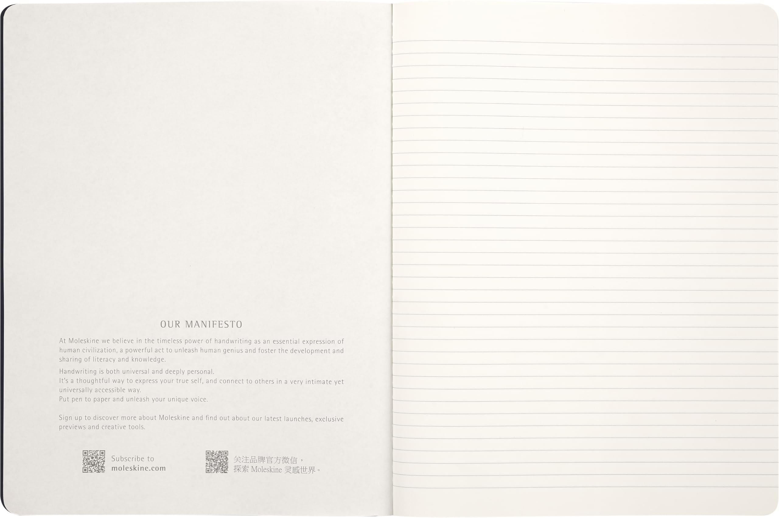 moleskine-cahier-journal-sakura-quaderno-a-righe-xl-19x25-cm-con-16-fogli-stacca image 4